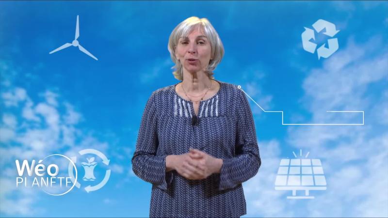 Capture d'écran article Wéo Planète
